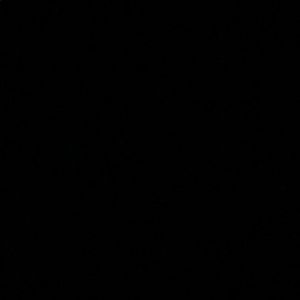 Meet your Posher, Audrey